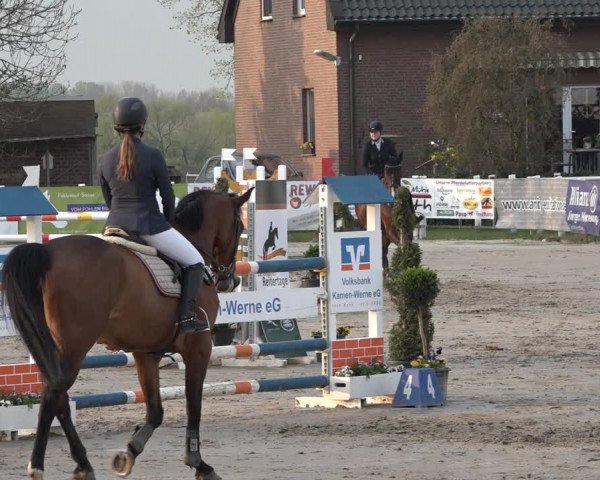 Lenklarer Reitertage 2019