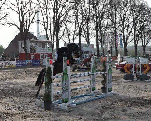 Lenklarer Reitertage 2019