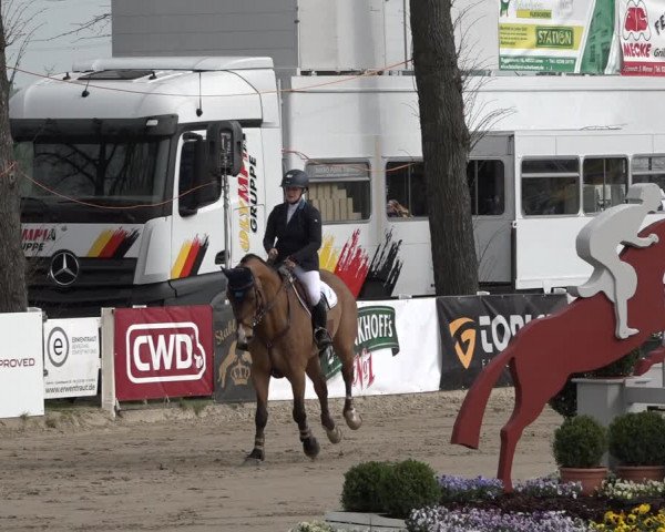 Reitturnier Werne-Lenklar 2019