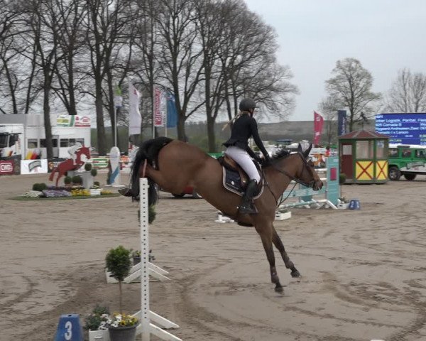 Reitturnier Werne-Lenklar 2019