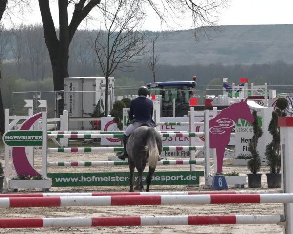 Reitturnier Werne-Lenklar 2019