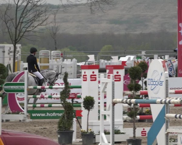 Reitturnier Werne-Lenklar 2019
