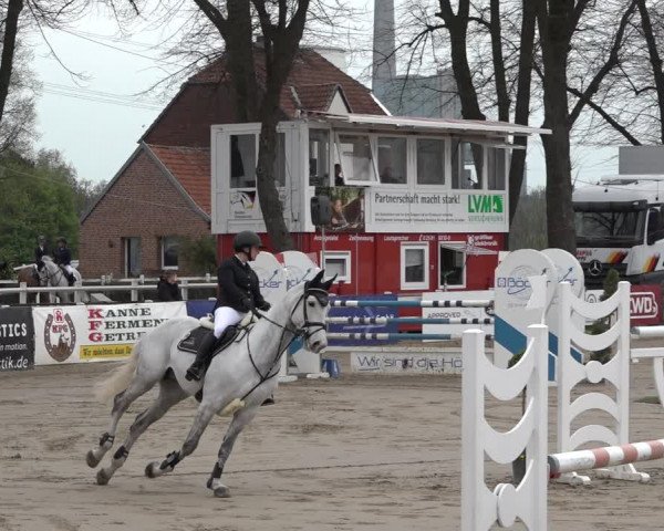 Reitturnier Werne-Lenklar 2019