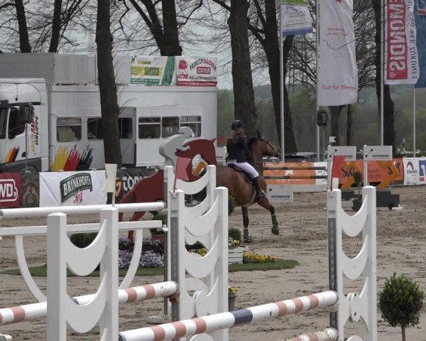 Reitturnier Werne-Lenklar 2019
