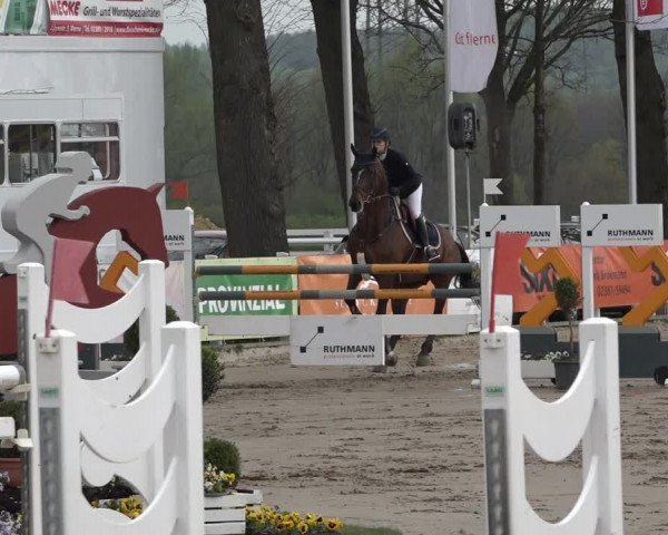Reitturnier Werne-Lenklar 2019