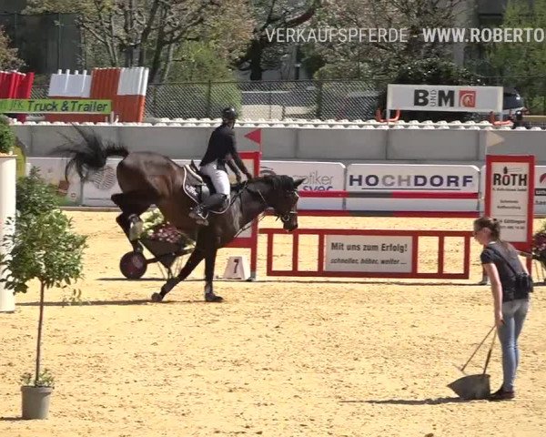 Osterspringen Amriswil 2019