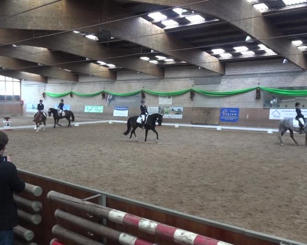 Reitturnier Leverkusen-Rheindorf 2019