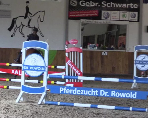 Dohrener Pferdetage 2019