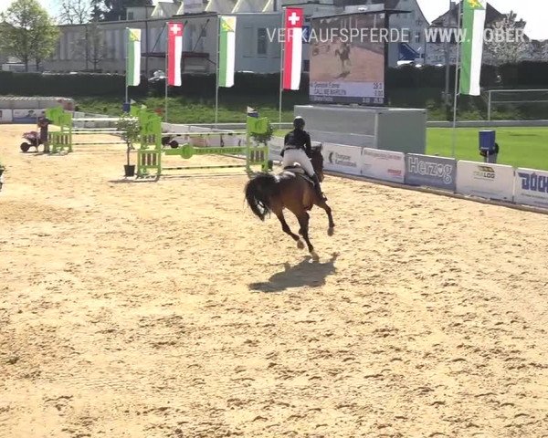 Osterspringen Amriswil 2019