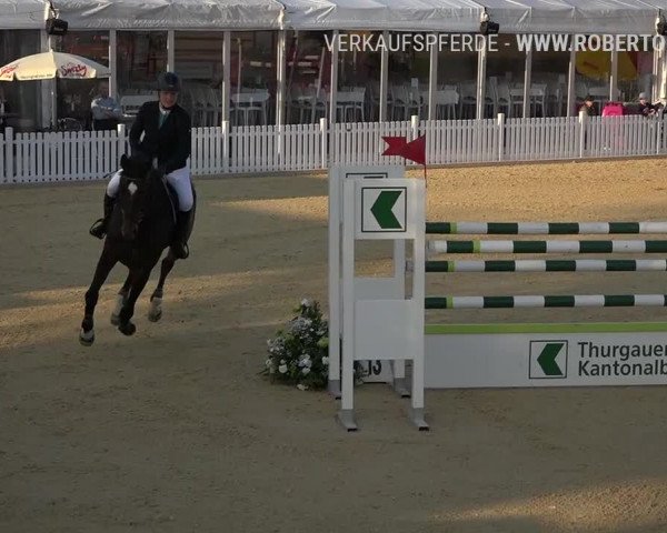 Osterspringen Amriswil 2019