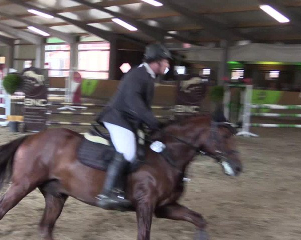 Dohrener Pferdetage 2019