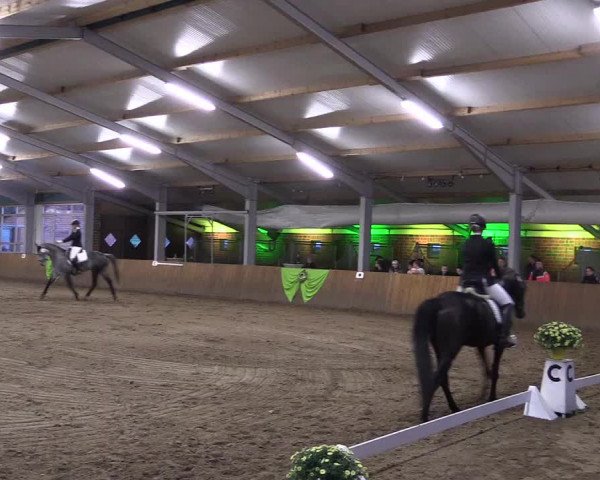 Dohrener Pferdetage 2019