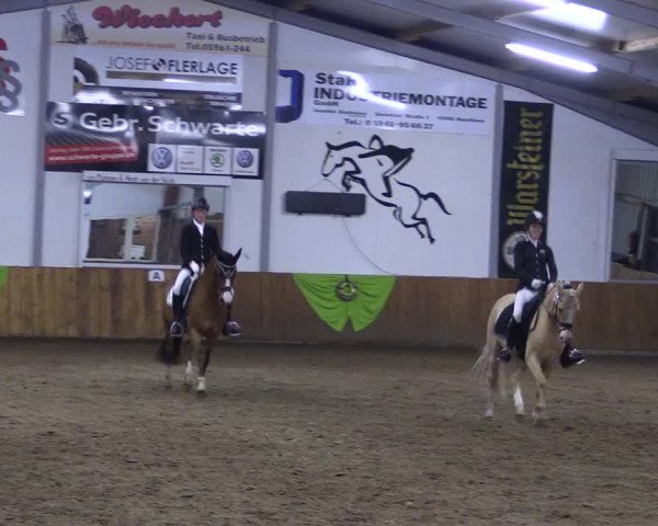 Dohrener Pferdetage 2019