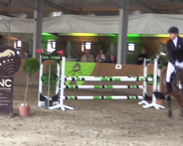 Dohrener Pferdetage 2019