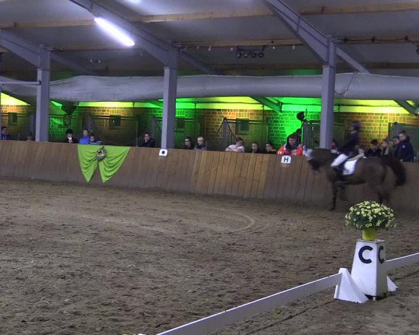 Dohrener Pferdetage 2019