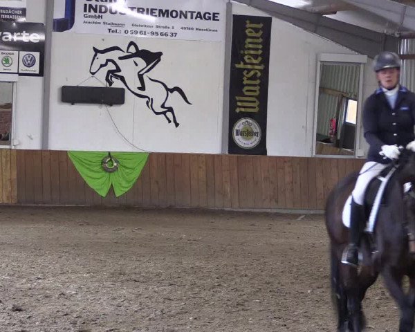 Dohrener Pferdetage 2019