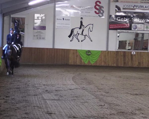 Dohrener Pferdetage 2019