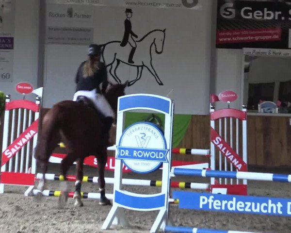 Dohrener Pferdetage 2019