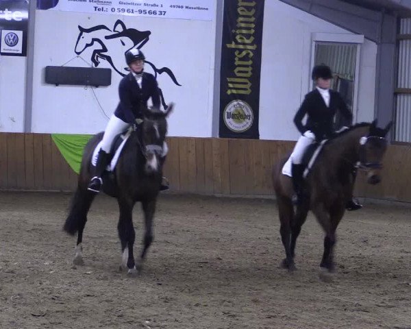 Dohrener Pferdetage 2019