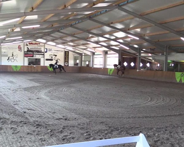Dohrener Pferdetage 2019