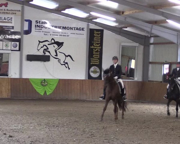 Dohrener Pferdetage 2019
