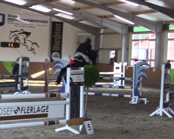 Dohrener Pferdetage 2019