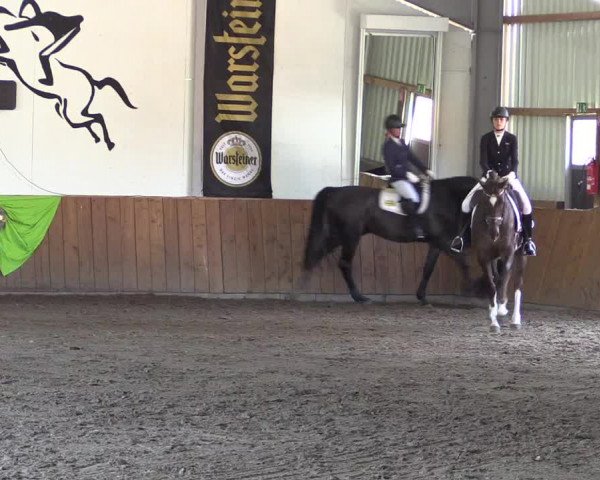 Dohrener Pferdetage 2019
