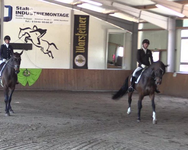 Dohrener Pferdetage 2019