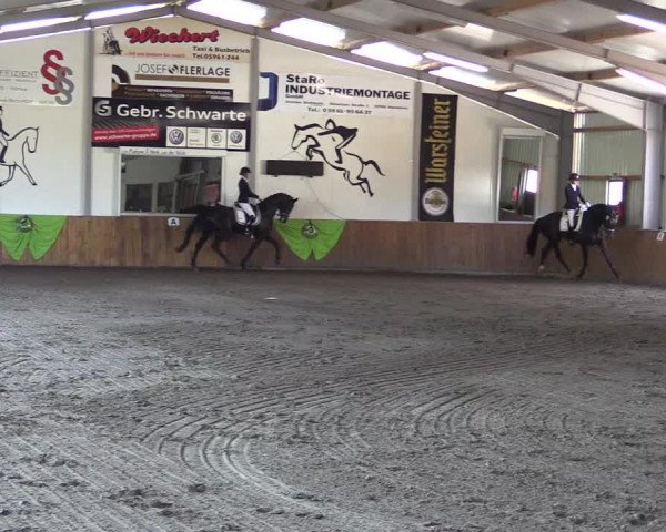 Dohrener Pferdetage 2019