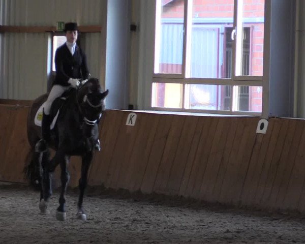 Dohrener Pferdetage 2019