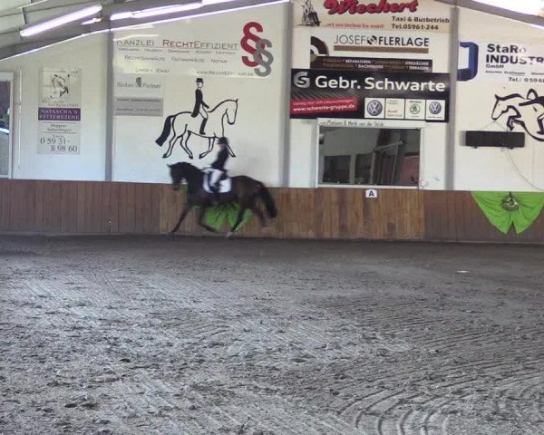 Dohrener Pferdetage 2019