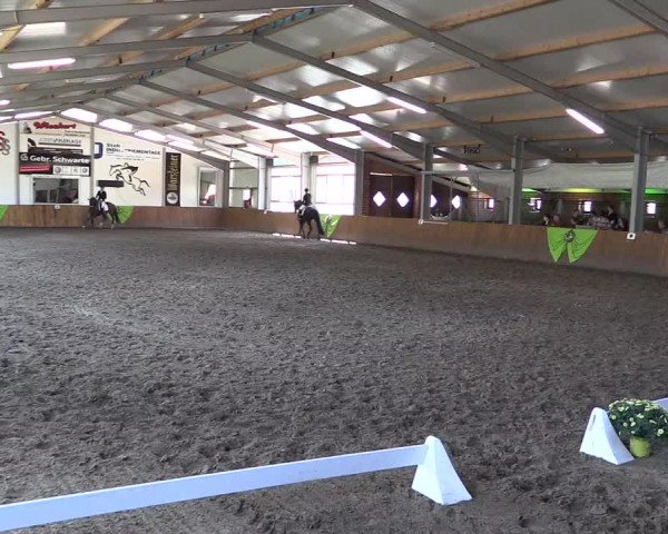 Dohrener Pferdetage 2019