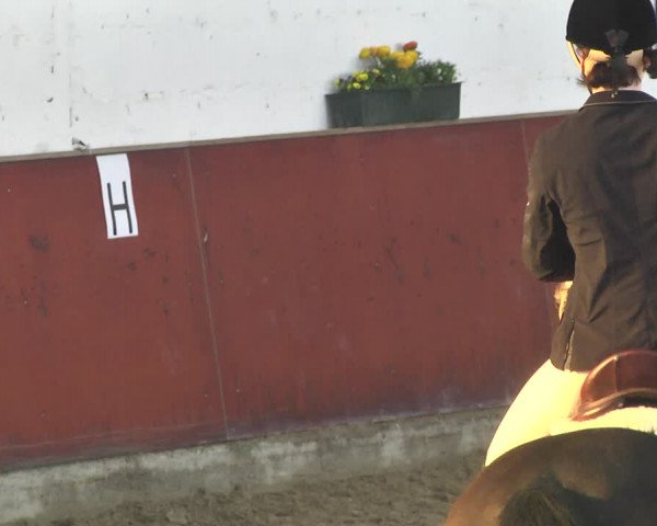 Reitturnier Neunkirchen-Furpach 2019