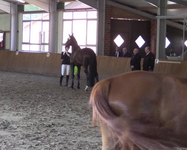 Dohrener Pferdetage 2019