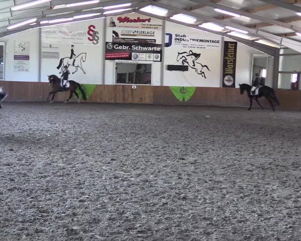Dohrener Pferdetage 2019