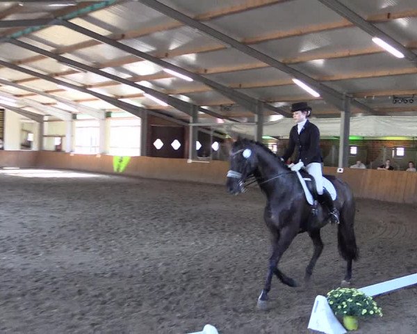 Dohrener Pferdetage 2019