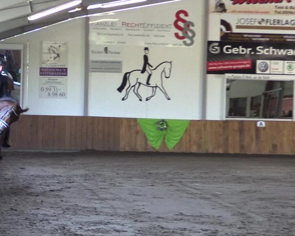 Dohrener Pferdetage 2019