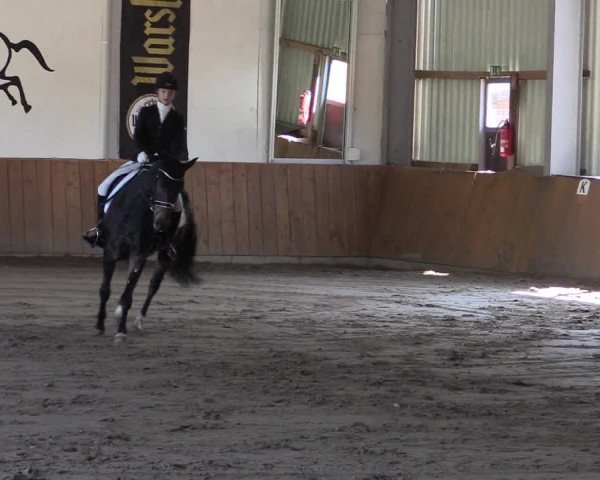 Dohrener Pferdetage 2019