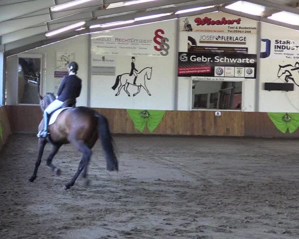 Dohrener Pferdetage 2019
