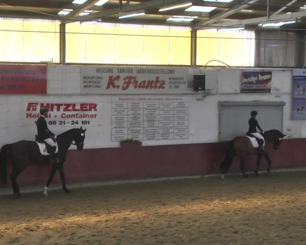Reitturnier Neunkirchen-Furpach 2019