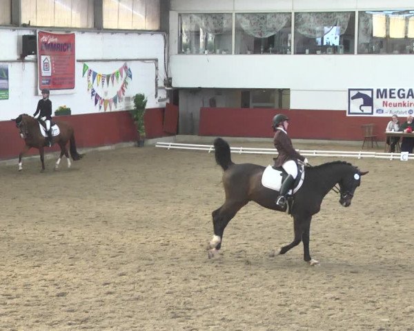 Reitturnier Neunkirchen-Furpach 2019