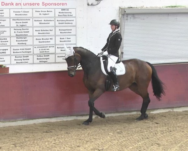 Reitturnier Neunkirchen-Furpach 2019
