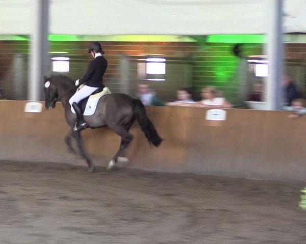 Dohrener Pferdetage 2019