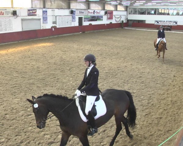 Reitturnier Neunkirchen-Furpach 2019