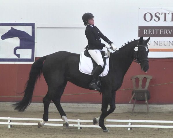 Reitturnier Neunkirchen-Furpach 2019