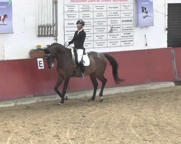 Reitturnier Neunkirchen-Furpach 2019