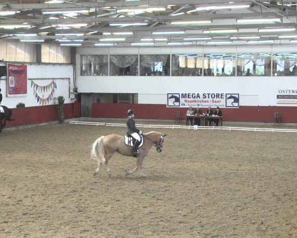Reitturnier Neunkirchen-Furpach 2019