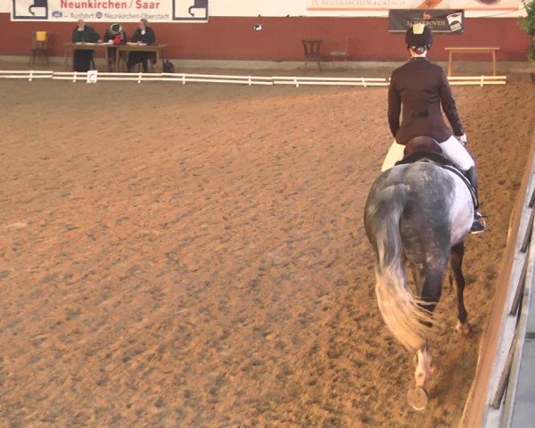 Reitturnier Neunkirchen-Furpach 2019