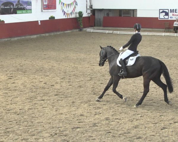 Reitturnier Neunkirchen-Furpach 2019