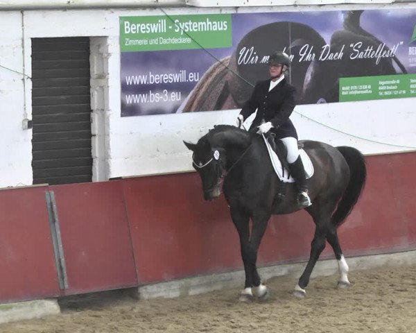 Reitturnier Neunkirchen-Furpach 2019